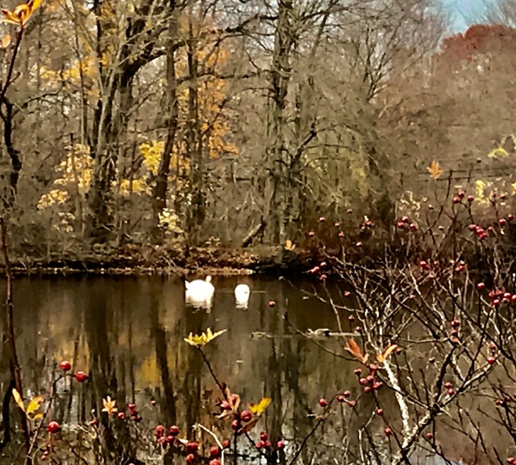 Betty Allen Twin Ponds Nature Park (Centerport,&nbspNY)